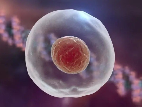 宜昌43岁助孕男孩-为什么一个43岁的妇女在接受第二代试管婴儿时，其胚胎的卵子裂解度很差？