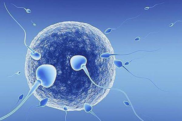 扬州47岁供卵试管助孕-体外受精真的适合所有年龄段的人吗？